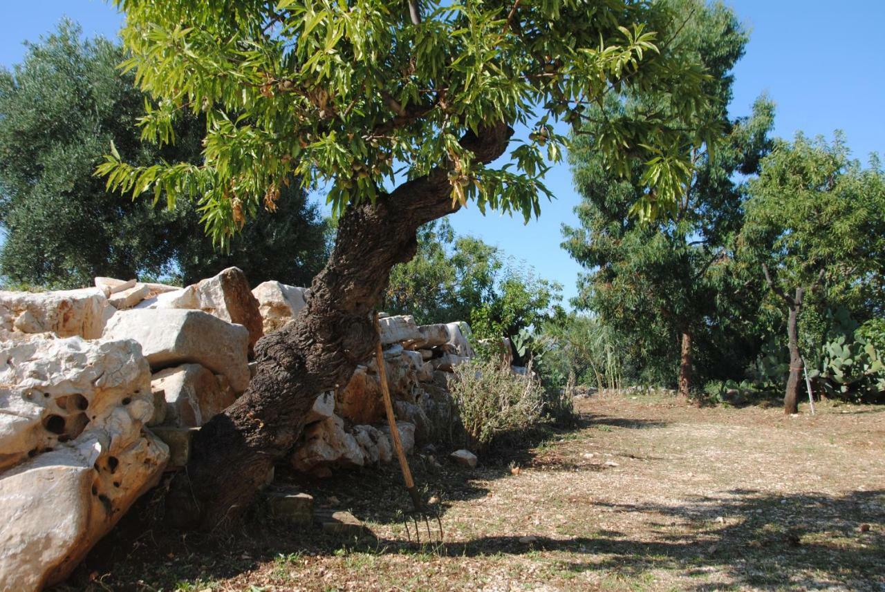 Dimora Adoa Daire Fasano Dış mekan fotoğraf